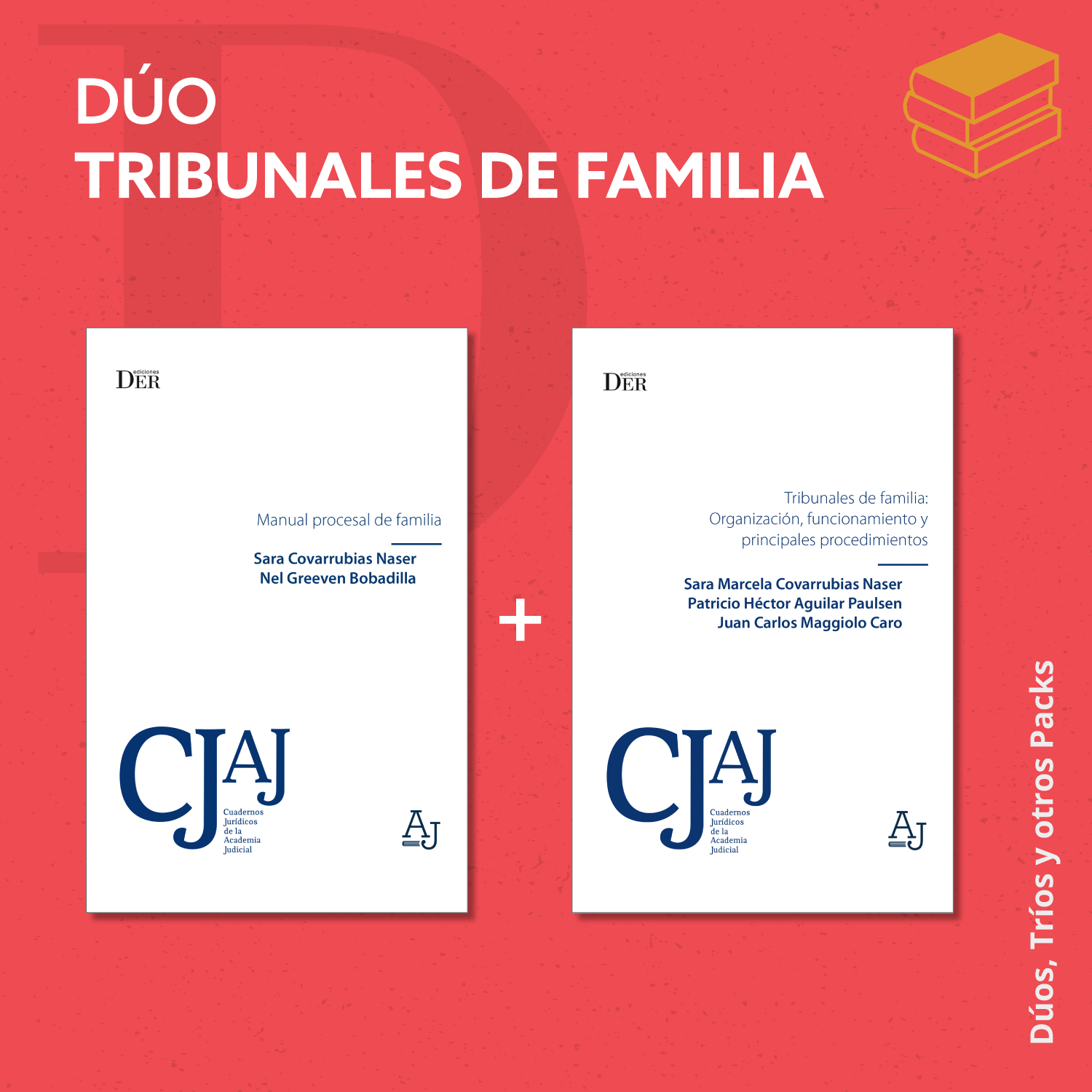 Libros de Derecho de Familia - DER Ediciones - Editorial jurídica